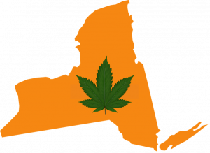 New York outline with cannabis leaf