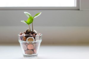 coins in a cup with sprout