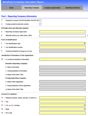 Reporting Company Information