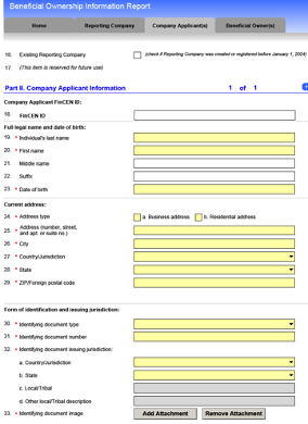 Company Applicant Information (for entities formed or registered after January 1, 2024)